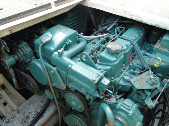 BAYLINER SeaLine 255 - 2x Volvo Penta DIESEL