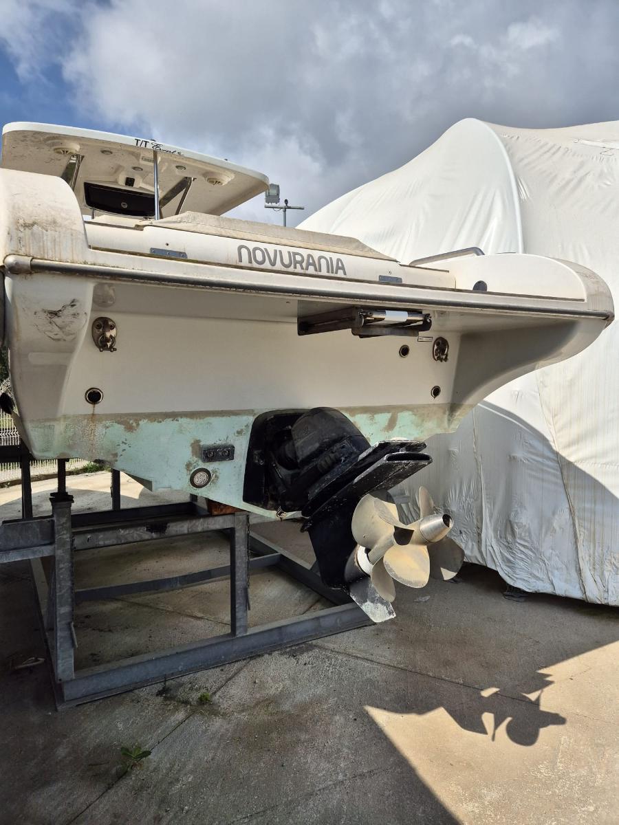 Novurania Chase 31 