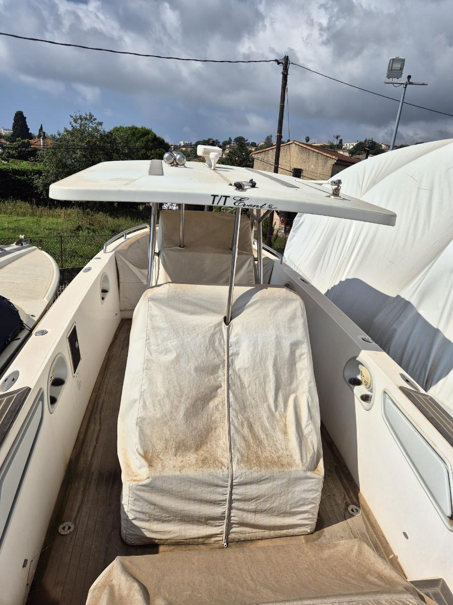 Novurania Chase 31 
