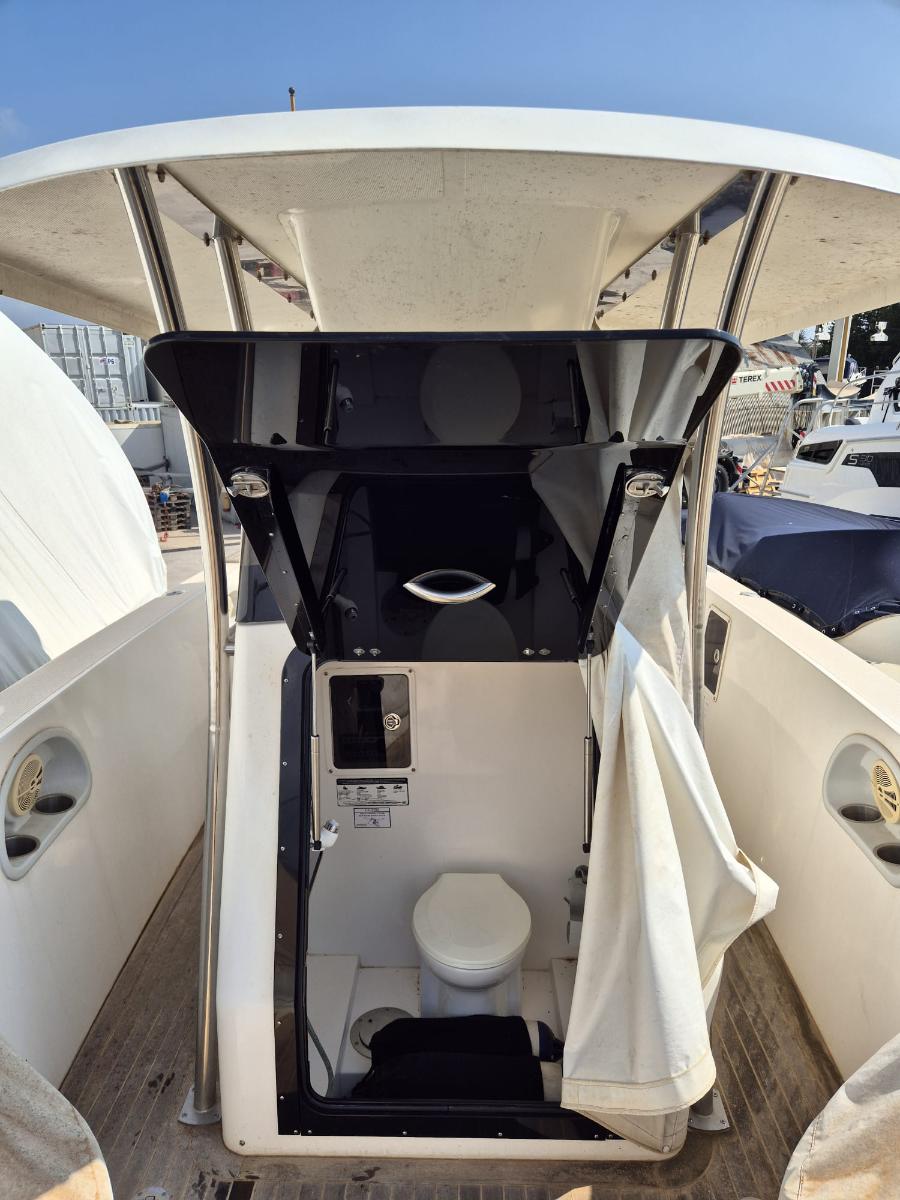 Novurania Chase 31 